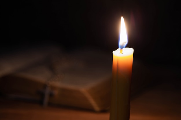 洛神的网络解释洛神的网络解释是什么